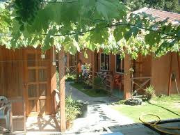 This island is growing in popularity among local and foreign tourists. Walkaway Picture Of Pangkor Inn Chalet Pulau Pangkor Tripadvisor