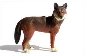 K M Red Wolf Red Wolf Wild Dogs Animal Figurines