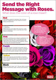 The official giant eagle, inc. Surprising Your Sweetheart With Roses Don T Send The Wrong Message There S Meaning Behind All Those Beautiful Colors Food Picks Valentines Food Floral Care