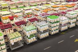 On the platform, there are assortments of sellers from ecuador, holland, kenya, italy and other countries. The Logistical Dance That Gets All Those Flowers To Market In Europe And Elsewhere Freightwaves