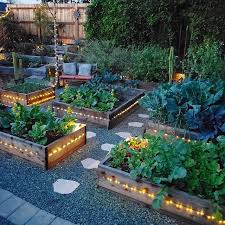 Instagram Backyard Garden Layout Garden Layout Vegetable Garden Bed Layout