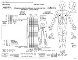 Image result for Motor Exam