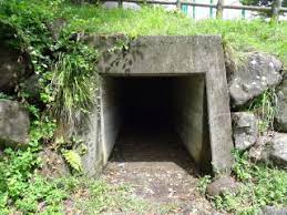 Exyi is the best video search engine, you can find all of the videos, watch, share, upload, download, videos which you want. ã‚«ãƒ¼ãƒªãƒŸãƒ¼ Night Irumarugger Twitter