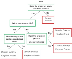 Domain And Kingdom Flow Chart Www Bedowntowndaytona Com