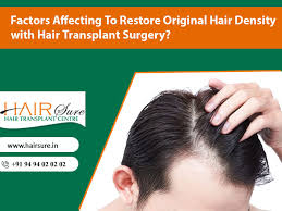 Hair transplant surgery has been heralded by some as the holy grail cure of hair loss. Factors Affecting To Restore Original Hair Density With Hair Transplant Surgery Hair Sure