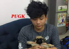 Cô dâu việt của mình đi qua lấy chồng hàn quốc, vậy thì ai là người lấy những. Thá»±c HÆ° Viá»‡c Khoa Pug La Chau Pháº¡m Nháº­t VÆ°á»£ng Con Trai Chá»§ Tá»‹ch Táº­p Ä'oan HÆ°ng Thá»‹nh Netizen Viá»‡t Giáº£i Tri
