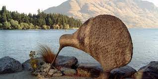 Feste Und Feiertage In Neuseeland Neuseeland Reisen Informationsportal