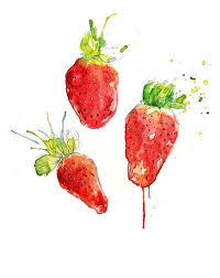 Strawberries Dessin Fruits Aquarelle La Couleur Des Sentiments