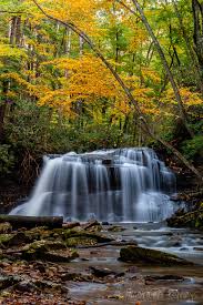 Located adjacent to the horse hotel. Holly River State Park American Byways