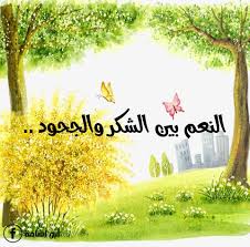 «إِنَّ النِّعْمَةَ موصولة بِالشُّكْرِ، وَالشُّكْرُ متعلق بِالْمَزِيدِ، وَهُمَا مَقْرُونَانِ فِي قَرْنٍ، فَلَنْ يَنْقَطِعَ الْمَزِيدُ مِنَ اللَّهِ حَتَّى يَنْقَطِعَ الشُّكْرُ مِنَ الْعَبْدِ» Ù‚Ù„ Ù‡Ø°Ù‡ Ø³Ø¨ÙŠÙ„ÙŠ Ø£Ø¨ÙˆØ£Ø³Ø§Ù…Ø© ÙŠÙˆØ³Ù Ù…Ø­Ù…Ø¯ Ø¹Ù„Ø§Ù† Ø§Ù„Ù†Ø¹Ù… Ø¨ÙŠÙ† Ø§Ù„Ø´ÙƒØ± ÙˆØ§Ù„Ø¬Ø­ÙˆØ¯ Ø§Ù„Ø­Ù…Ø¯ Ù„Ù„Ù‡ Ø±Ø¨ Ø§Ù„Ø¹Ø§Ù„Ù…ÙŠÙ† ÙˆØ§Ù„ØµÙ„Ø§Ø© ÙˆØ§Ù„Ø³Ù„Ø§Ù… Ø¹Ù„Ù‰ Ù†Ø¨ÙŠÙ†Ø§ Ù…Ø­Ù…Ø¯ ÙˆØ¢Ù„Ù‡ ÙˆØµØ­Ø¨Ù‡ Ø£Ø¬Ù…Ø¹ÙŠÙ† Ø¥Ù† Ø§Ù„Ù‚Ø±Ø¢Ù† Ù…Ù„ÙŠØ¡ Ø¨Ø§Ù„Ø¹Ø¨Ø± ÙˆØ§Ù„Ø¹Ø¸Ø§Øª Ù„Ù…Ù† ÙŠØ±ÙŠØ¯ Ø§Ù„Ø§Ø¹ØªØ¨Ø§Ø±