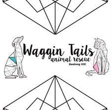 We offer an array of services, varying from full grooms, baths, nail trims, boarding and more. Waggin Tails Rescue Petrescue