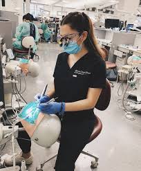 Dentistry Student In 2020 Zahnheilkunde Zahnmedizin Zahnarzt Witze
