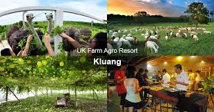Pemandangan di sekitarnya amat mendamaikan apa lagi jika anda memilih untuk berbasikal di sekitarnya. Uk Farm Agro Resort Kluang Findbulous Travel