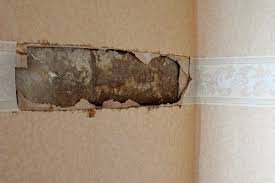 182 preise ✅ für knauf easyputz vergleichen ⌛ jetzt günstig online kaufen. Schimmel An Der Wand Einfach Ubertapezieren Gute Idee Oder Blodsinn