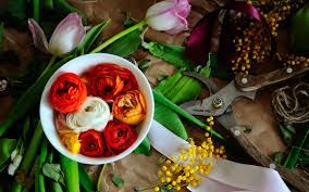 Maybe you would like to learn more about one of these? Bring On The Bloom Flower Shops Around Koreatown The Pearl