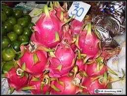 I haven't played too much of the game yet, so i might miss important things that could contribute to this story. Nopales Tuna Photos