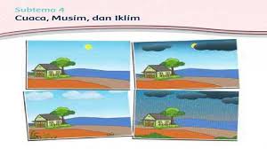 Kunci Jawaban Tema 5 Kelas 3 Halaman 171 175 177 181 184 Tematik Sd Subtema 4 Cuaca Musim Dan Iklim Tribun Pontianak