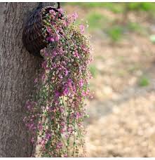 36 heads/ 1 bunch rose pink silk peony artificial flowers bouquet cheap fake flowers for household wedding decoration indoor. Simulation Rattan Plant Flower Artificial Fake Flower Living Room Wall Decorations Home Decor
