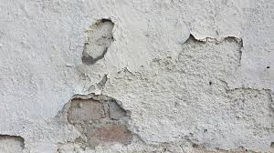 Water Damage Consultation