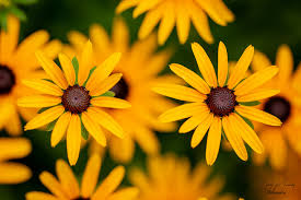 RandyManning (@randy_manning) • Instagram photos and videos