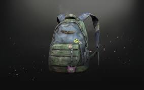 The last of us ellie rucksack. Ellie S Backpack From The Last Of Us