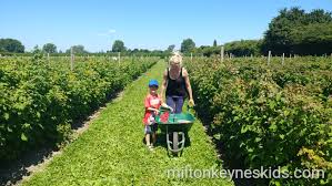 Pick Your Own Fruit Grove Farm Bedfordshire Milton Keynes Kids