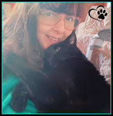 Loss of a Beloved Outdoor Cat Named Blackie