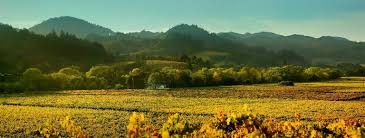 Discover Fair Play & the Sierra Foothills AVA - Priority Wine Pass