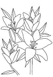 Check spelling or type a new query. Planse De Colorat Cu Flori Sfatulmamicilor Ro