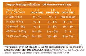 25 methodical puppies diet chart