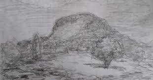 3 3 15 Mount Keira Wollongong Botanic Gardens By George Tourtouras Online Art Art Online Art Gallery