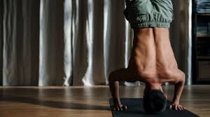 We did not find results for: Yoga Archive Der Lifestyleguide