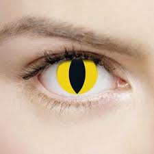 The uk's number 1 independent supplier of contact lenses. Wild Yellow Cat 1 Day Halloween Coloured Contact Lenses Mesmereyez Xtremeeyez 365games Co Uk