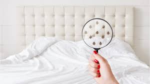 Maybe you would like to learn more about one of these? Prevention Punaises De Lit Peut On Se Premunir De Leur Apparition