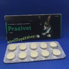 Cacing dan telur cacing : Ubat Cacing Untuk Kucing Shopee Malaysia