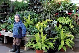 Consumers complaining about gardener's supply company most frequently mention customer service, credit card and minute wait problems. Destination Recreation Gardener S Supply Company Destination Recreation Kids Vt Small People Big Ideas