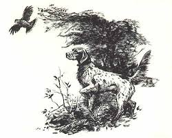 Black And White English Setter Dog English Setter Print Raymond Pease Dog Print Art Animal Illustration Art Dog Art