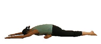We did not find results for: Sleeping Swan Yin Yoga