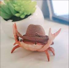 Cowboy Crab Meme Generator Imgflip