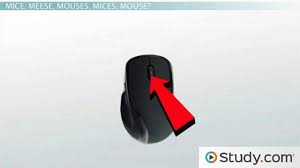 computer input devices keyboards mice audio video video lesson transcript study com computer input devices keyboards mice audio video video