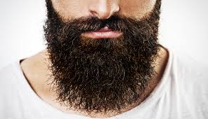 I think that long beards make men ugly. Runtuh The Beginners Guide To Beards Chapter 1
