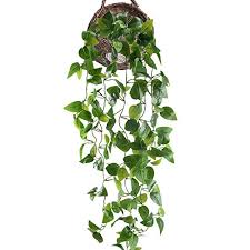 La manutenzione delle piante finte da interno. Huaesin 2pcs Pianta Finta Cadente Piante Finte Da Esterno Pianta Rampicante Finta In Plastica Pianta Pendente Finta Per Decorazioni Balconi Parete Porta Armadietto Verde E Rosso Decorazioni Per Interni Piante E Fiori