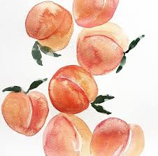 Pinterest Insatiiable Peach Art Line Art Drawings Watercolor Fruit