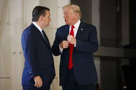 He also thinks texas should remain relatively tofu he is also in a fight, apparently, to keep things democrats like — like tofu and dyed hair — out of his home state of texas. Tofu And Silicon And Dyed Hair Republicans Gang Up On California Politico