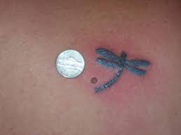 They also get various other types of designs done along with these. 24 Ideal Dragonfly Tattoo For 2013