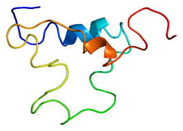 It is responsible for a whole range of bodily functions, mechanisms and processes, like recovery, repairing cellular tissue, regeneration, controlling metabolism and growth. Insulin Like Growth Factor 1 Wikipedia