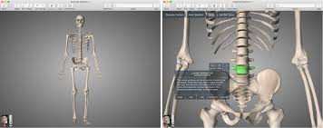Complete anatomy 21 notable features: The Best Free Anatomy Apps For Mac For Medical Students