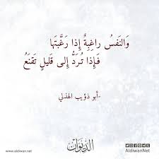 الديوان موسوعة الشعر العربي أبو ذؤيب الهذلي Arabic Calligraphy Calligraphy