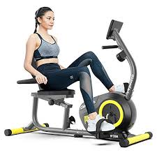 We did not find results for: Pooboo W258 Magnetic Recumbent Indoor Cycling Bike Reviewed