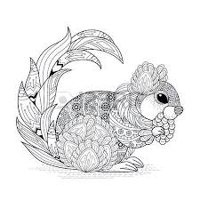 Lovely Squirrel Coloring Page In Exquisite Style Stock Vector Squirrel Coloring Page Animal Coloring Pages Dream Catcher Coloring Pages